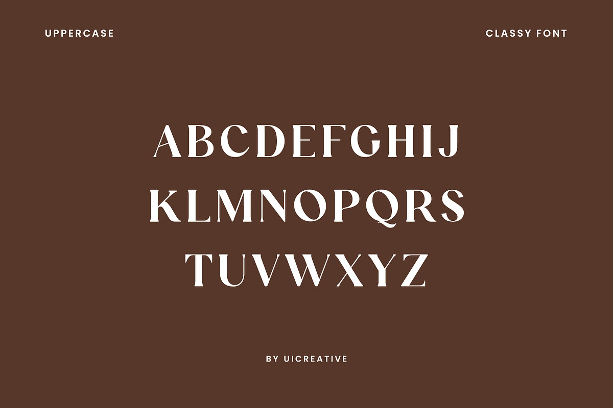 Funtonalie Elegant Serif Font, a Serif Font by UICreative (Photo 11 of 13)