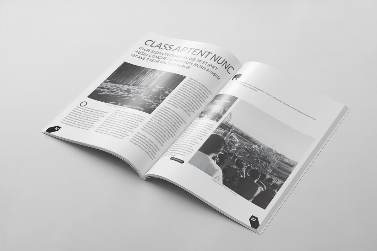 Magazine Template 49, a Magazine Template by pmvch (Photo 19 of 25)