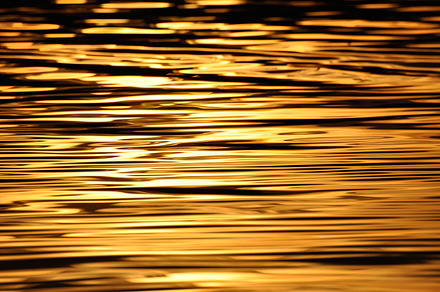 Golden water featuring gold, golden water, and gold water