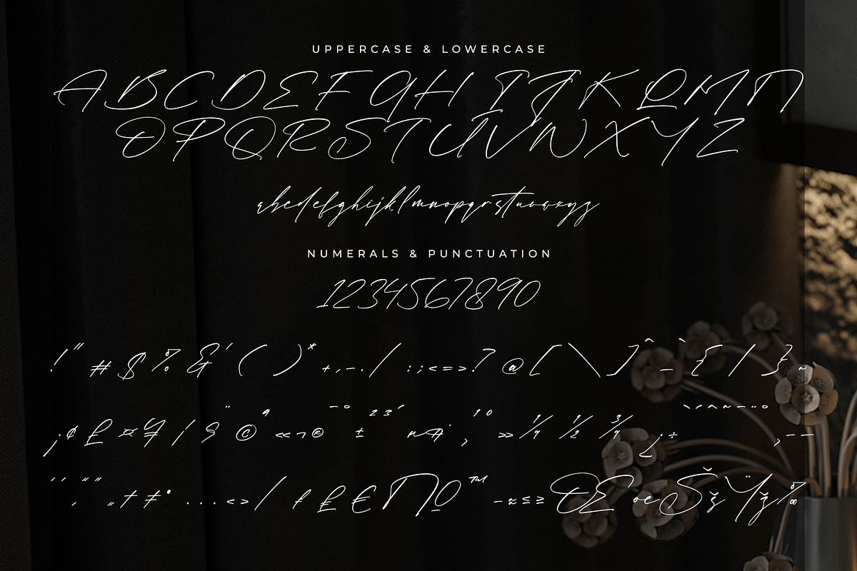 Rosatlinde Elegant Signature Script, a Script Font by Letterena Studios Script (Photo 13 of 15)