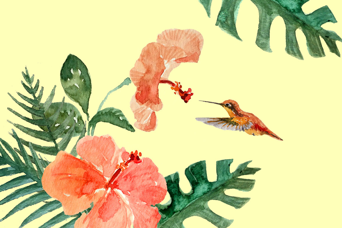 Hummingbird Gardens - Watercolor Set, an Illustration by amyxbao (Photo 7 of 8)
