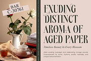 Royale Ambers Editorial Serif, a Serif Font by timelesstype.co (Thumbnail 4 of 10)