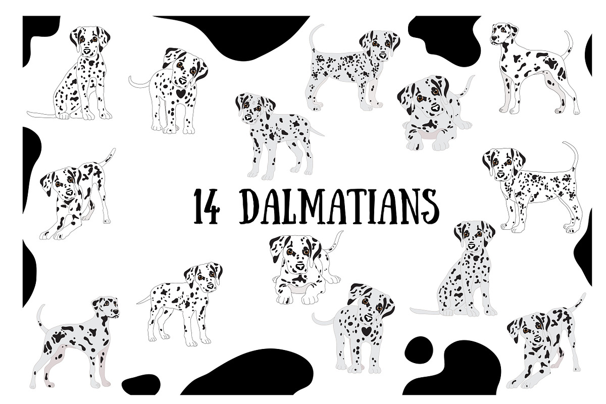 Dalmatian, an Animal Illustration by Orangepencil (Photo 1 of 7)