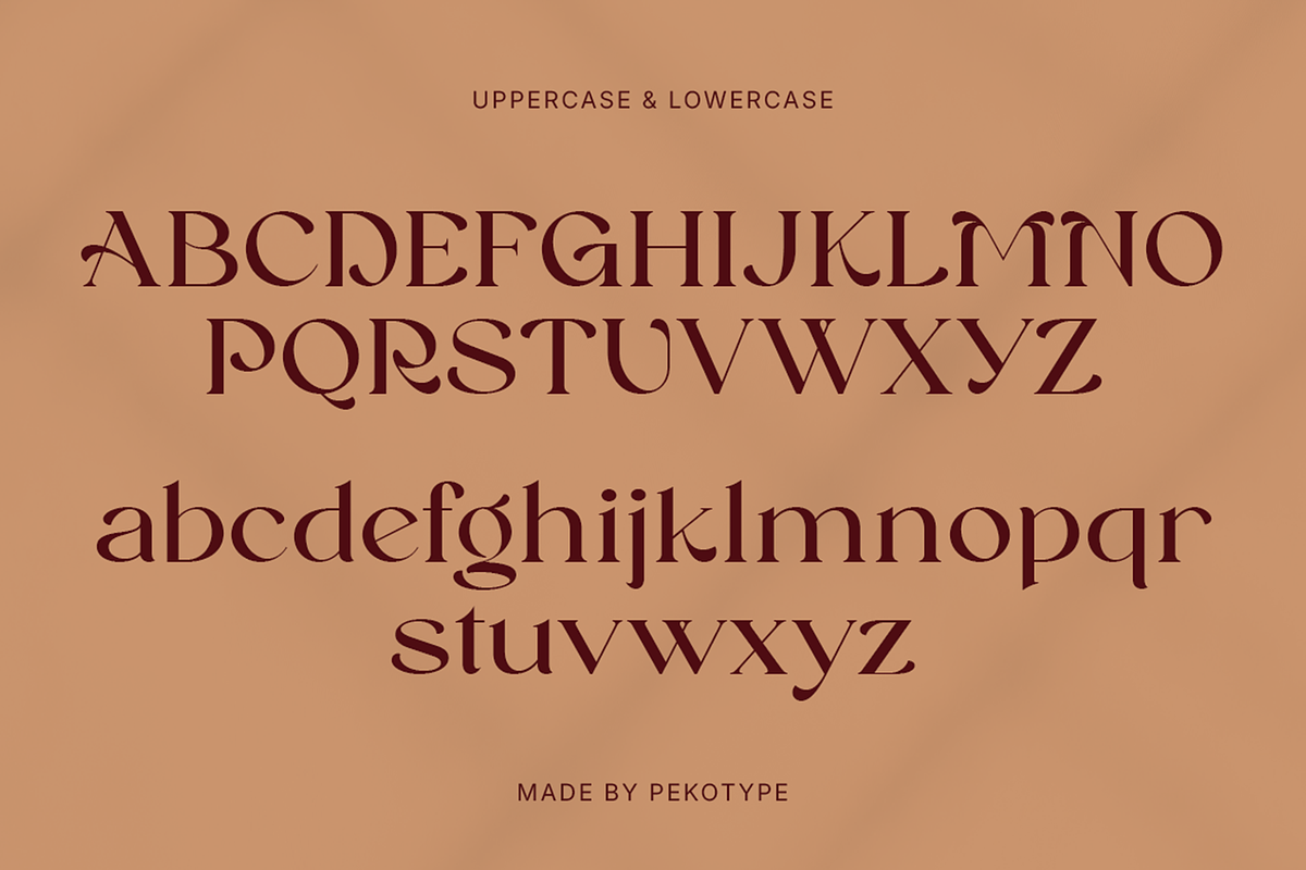 Reinsa - Elegant Modern Logo Font, a Sans Serif Font by Pekotype (Photo 3 of 15)