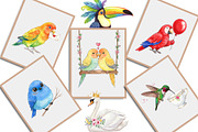 Watercolor Cute Whimsical Birds Png, an Illustration by Creative Art (Thumbnail 4 of 9)