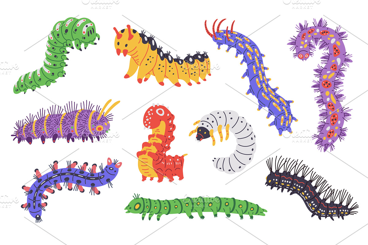 Vector set of illustrations with, an Animal Illustration by Sabelskaya