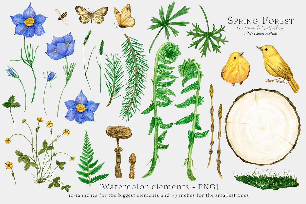 Watercolor Floral All Seasons Bundle, a Seasonal Illustration by Ksenia Shmakova (Photo 37 of 39)