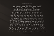 Anelyas | Modern Calligraphy, a Script Font by Denustudios (Thumbnail 10 of 12)