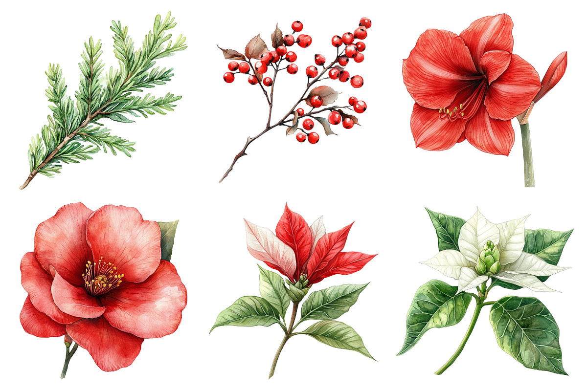 Festive Florals & Pinecones Clipart, an Illustration by Daily.Designs (Photo 5 of 5)