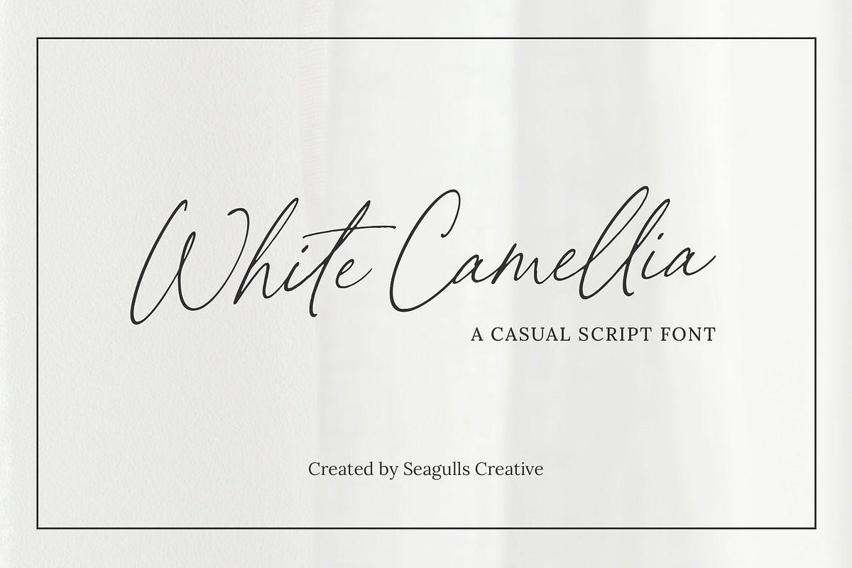 White Camellia Script Font, a Script Font by Seagulls Creative (Photo 1 of 12)