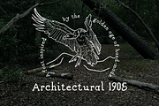 Architectural 1905 Hand Drawn Font, a Serif Font by Jeffry Macpherson Visuals (Thumbnail 2 of 7)
