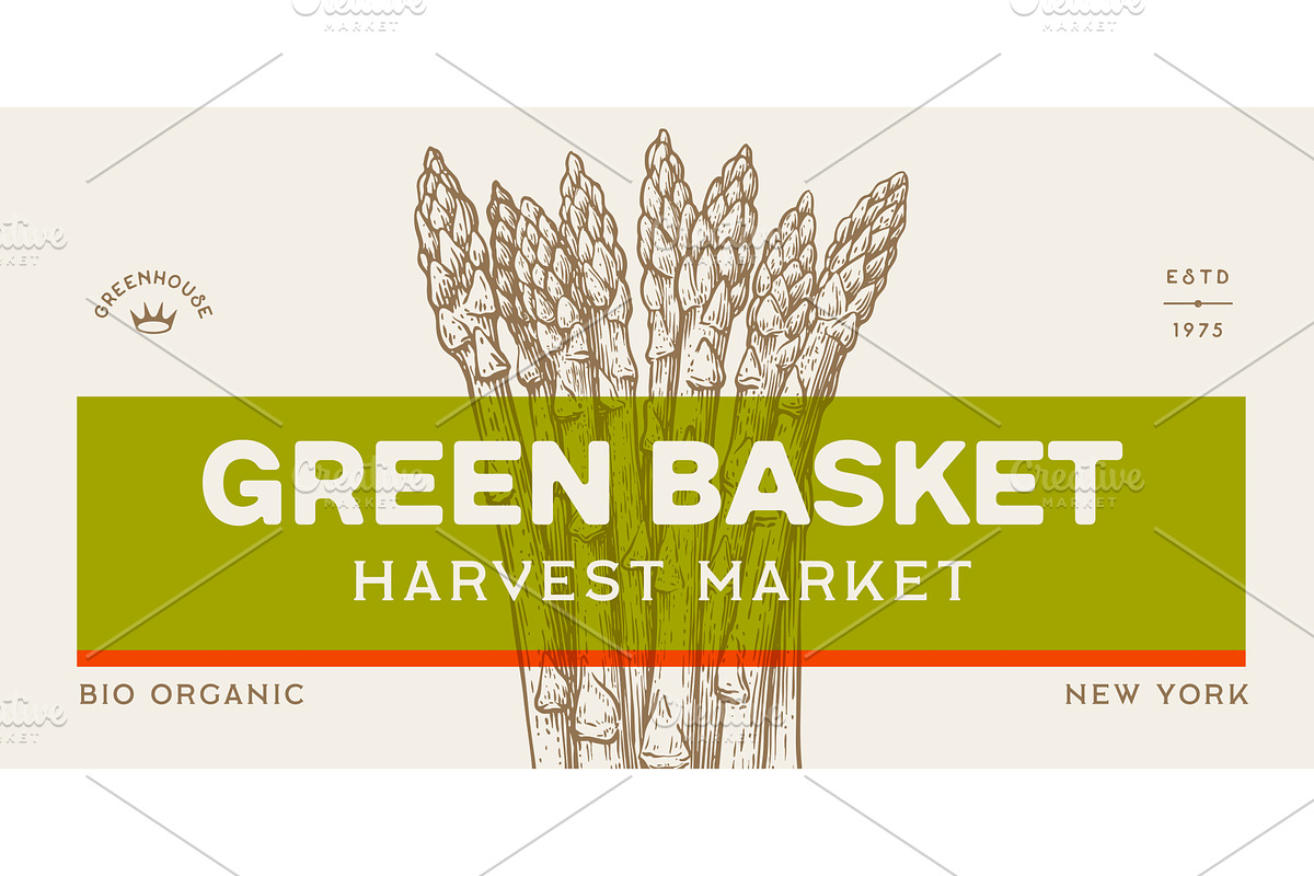 Asparagus, sketch organic vegetable, a Food Illustration by Foxys Graphic