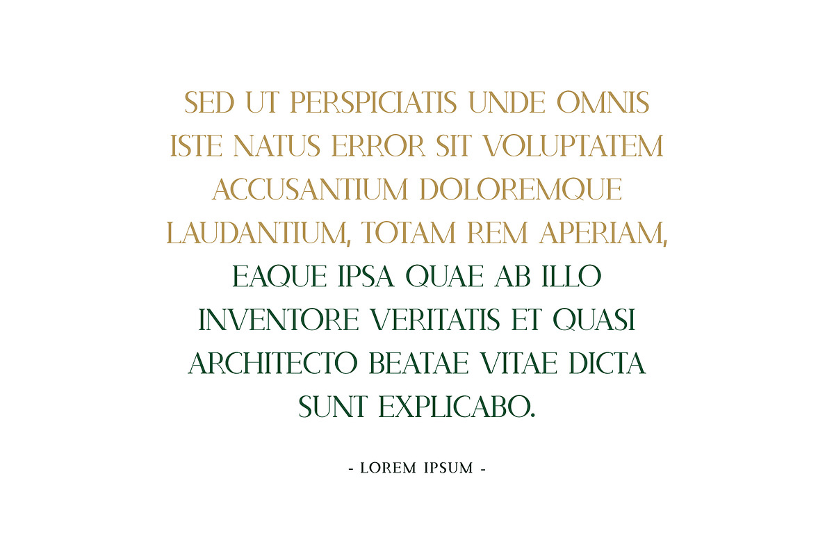 Bodikago Luxury Serif Font preview 4