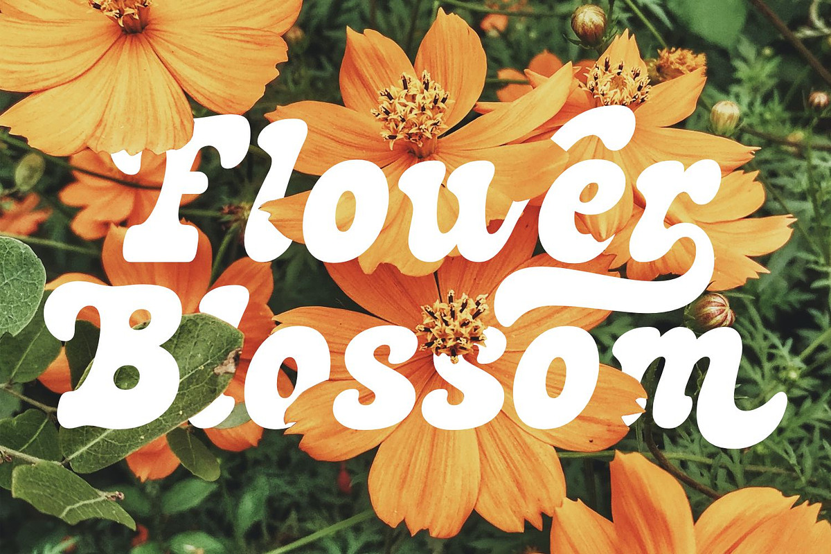 Sunday Vibes - Retro Font, a Script Font by Keithzo (Photo 6 of 8)