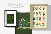 Wild meadow flowers $ herbs, an Object Graphic by yttadesign (Thumbnail 6 of 17)