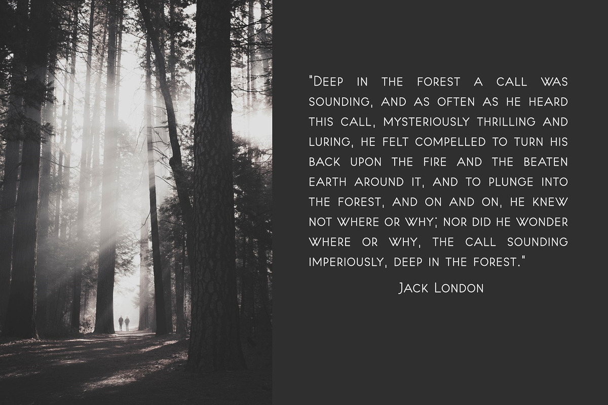 North Point | Sans Serif preview 6