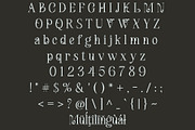 Maerulin – Serif Font, a Serif Font by NDNL Studio (Thumbnail 11 of 13)