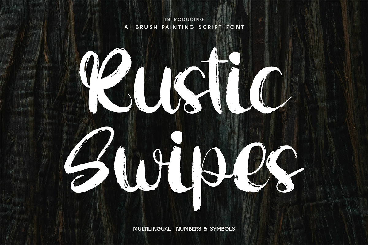 Rustic Swipes - SVG Brush Painting, a Script Font by Indotype Foundry (Photo 1 of 10)