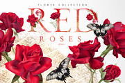 Red Roses, floral cliparts | Illustrations ~ Creative Market