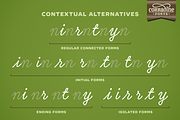 Tierra Script, a Script Font by Corradine Fonts (Thumbnail 8 of 15)