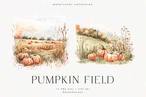 Pumpkin Field