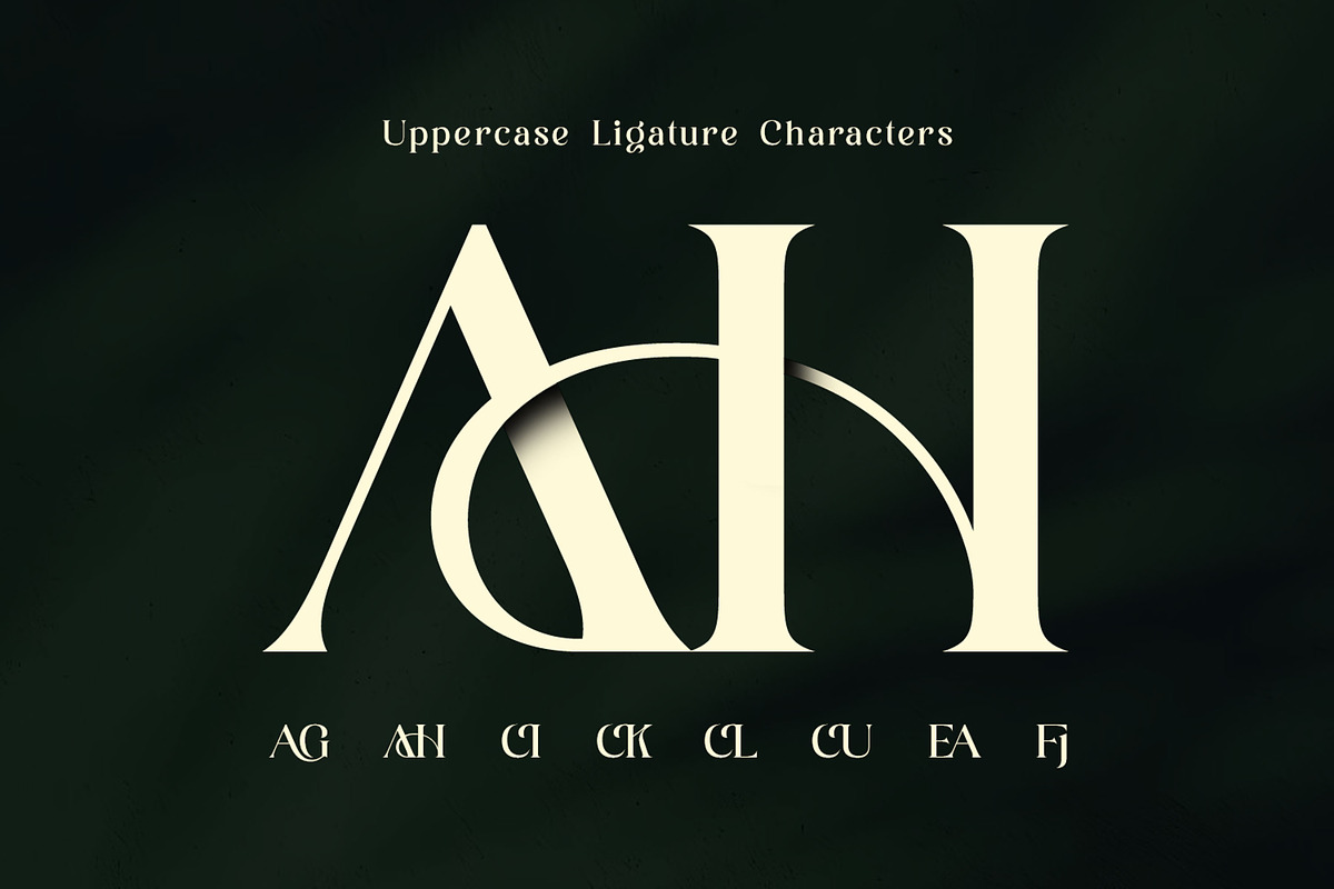 Ladya | Serif Display Font, a Serif Font by Ekahermawan (Photo 12 of 15)