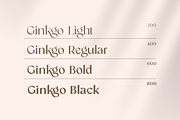Ginkgo - Modern Classy Serif Font, a Serif Font by Sensatype (Thumbnail 2 of 20)