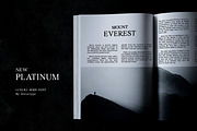 New Platinum - Luxury Serif Font, a Serif Font by Attractype (Thumbnail 9 of 13)