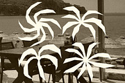 Tropic Palm 30 Raw & Organic Icons, an Object Graphic by dailygraphic (Thumbnail 6 of 7)