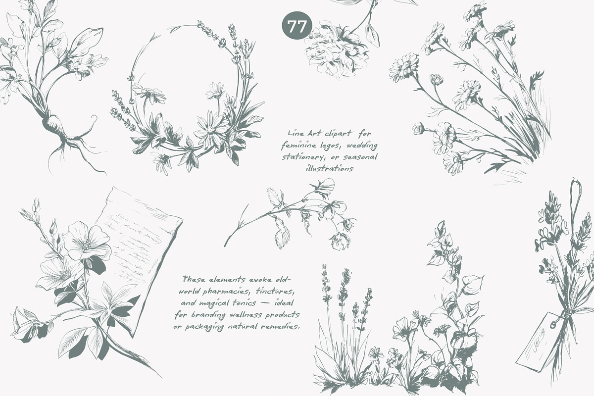 apothecary clipart vintage collectio, a Decorative Illustration by Patishop Art (Photo 4 of 10)