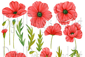 Red Poppy Clipart