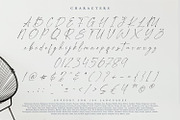 Pantheon Signature, a Script Font by din-studio.com (Thumbnail 9 of 10)