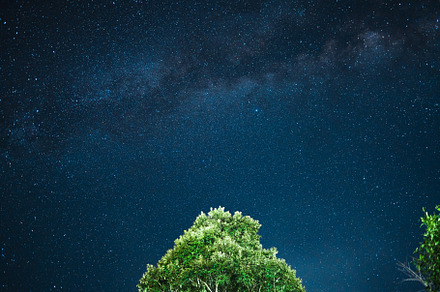 Night scene milky way background,Trees Against Sky At Night, a Nature Photo by Art Rachen