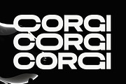 GC EPIC PRO - Future Extended Sans, a Sans Serif Font by Glyphonic (Thumbnail 15 of 15)