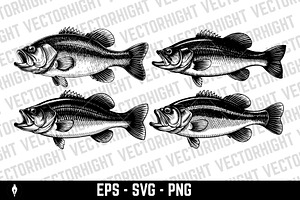 Detailed sea bass (or bass fish), an Animal Illustration by Vectorhight