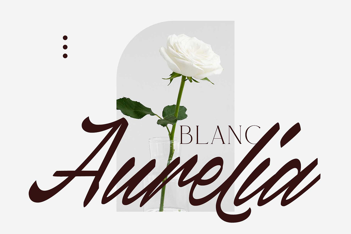 Canlord - Brush Font, a Script Font by Novitype (Photo 9 of 11)