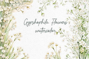Gypsophilia White Flowers Clipart