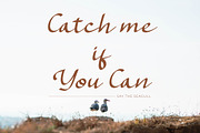 Kaseylum Script Font, a Script Font by Denustudios (Thumbnail 8 of 14)