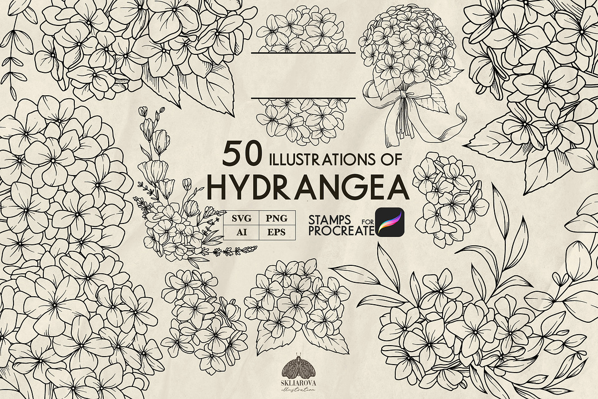 Hydrangea line art + Procreate, a Decorative Illustration by Skliarova (Photo 1 of 4)