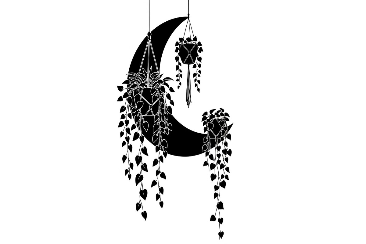Hanging Moon with Plants Bundle, an Illustration by Designs_River (Photo 26 of 31)
