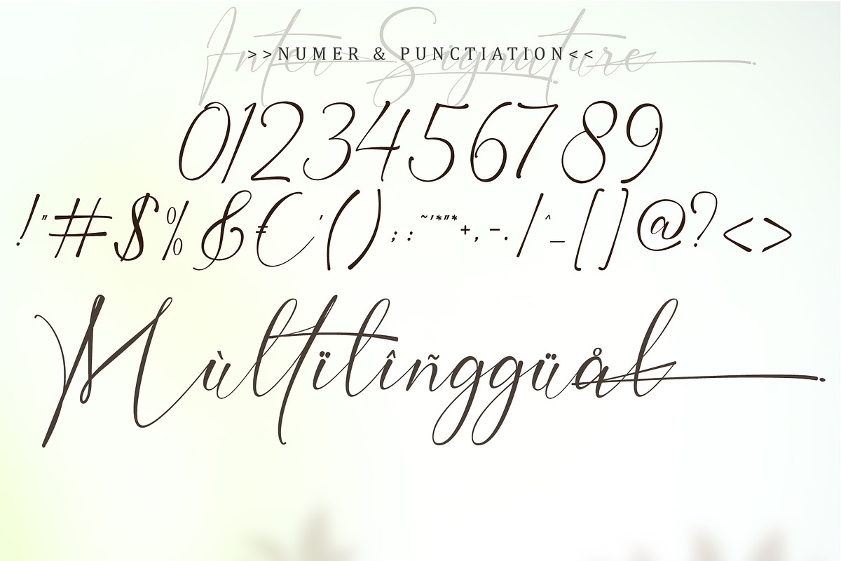 Inter signature, a Script Font by Reza Studio (Photo 10 of 14)