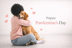 Pawlentines day celebration with pet, a Photo by Dvoevnore photos