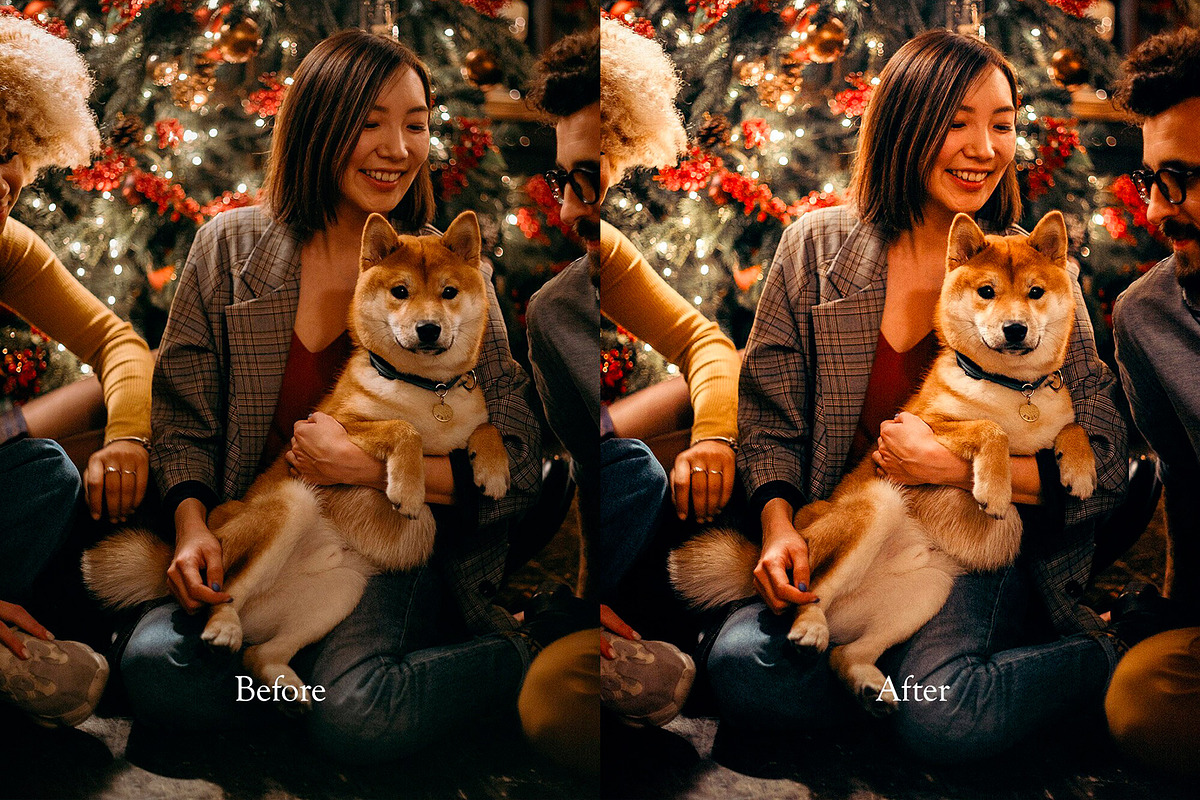 Christmas Lightroom Presets, a Preset Add-On by VividFrame (Photo 8 of 9)