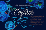 Caprice Script + Vector Flower Bonus, a Script Font by Vera Holera (Thumbnail 1 of 3)