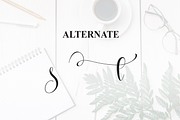 Goodnotes | Script Font, a Handwritten Font by Scratchones (Thumbnail 8 of 9)