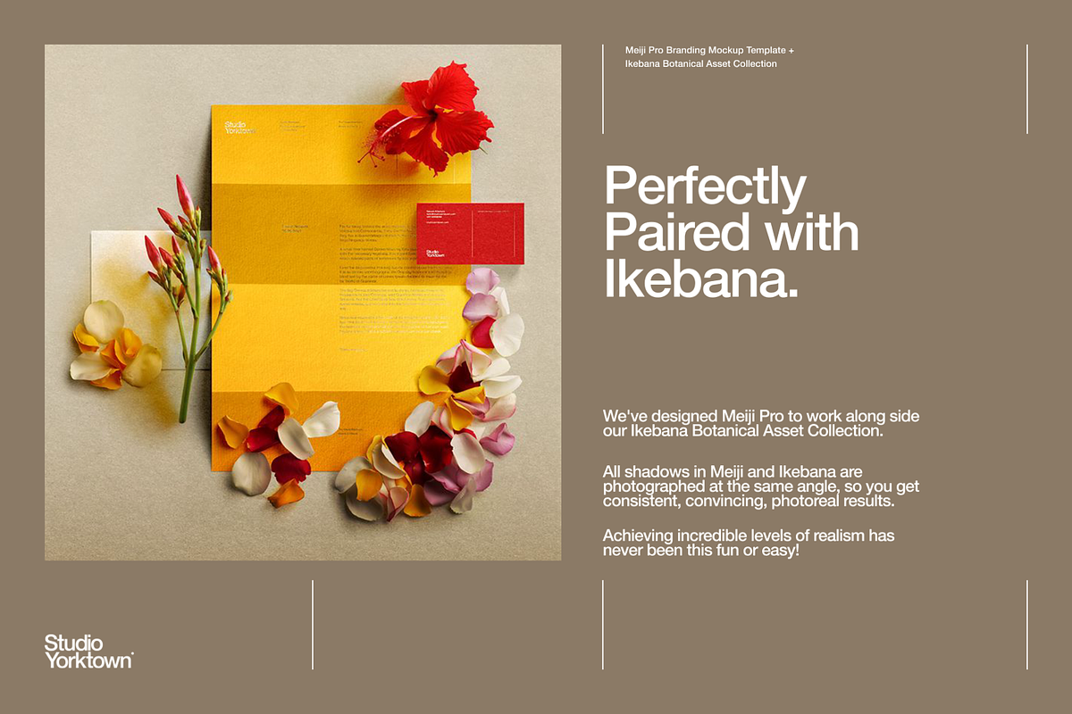 Meiji Pro Branding Mockup Template, a Mockup by Studio Yorktown (Photo 20 of 20)