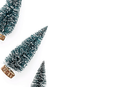 Christmas trees on white background