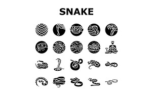 snake black serpent viper cobra, an Animal Illustration by pikepicture