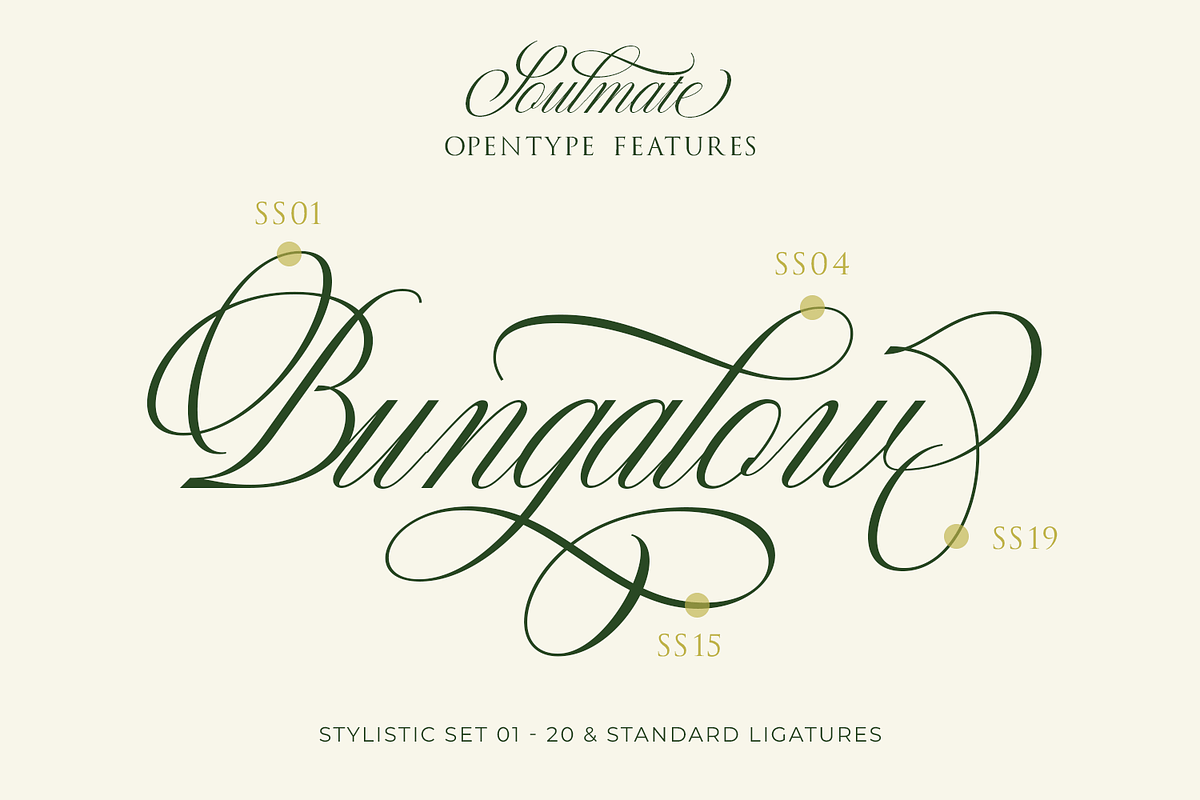 Soulmate - Modern Cursive Script, a Script Font by Pixesia Studio (Photo 10 of 11)