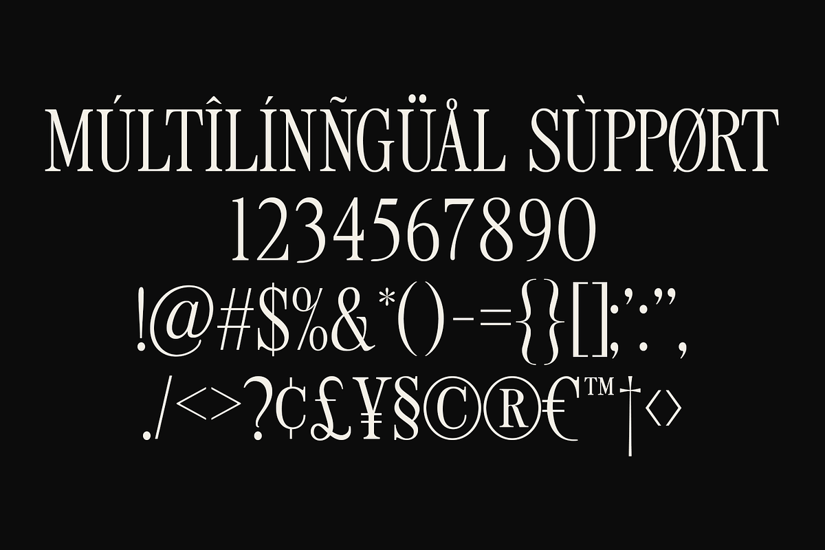 Tirone - Display Serif Font, a Font by Viswell (Photo 9 of 10)